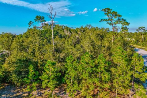 Commercial property in Orange City, Florida 219.81 sq.m. № 817103 - photo 28