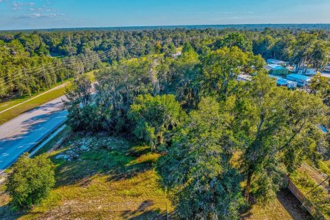 Commercial property in Orange City, Florida 219.81 sq.m. № 817103 - photo 6