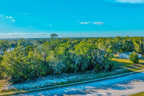 Commercial property in Orange City, Florida 219.81 sq.m. № 817103 - photo 29