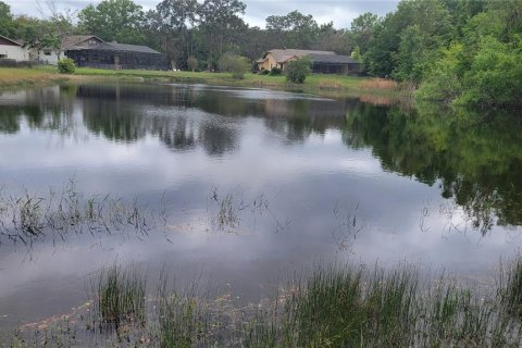 Terrain à vendre à New Port Richey, Floride № 1086744 - photo 2