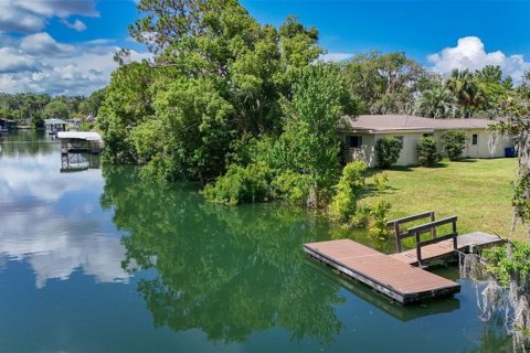 House in Crystal River, Florida 3 bedrooms, 190.26 sq.m. № 1803843 - photo 4