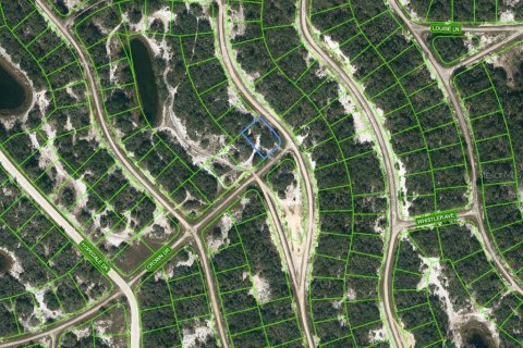Land in Lake Placid, Florida № 2236298