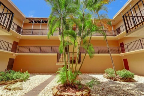 Copropriété à louer à Hollywood, Floride: 1 chambre, 77.39 m2 № 2274765 - photo 12