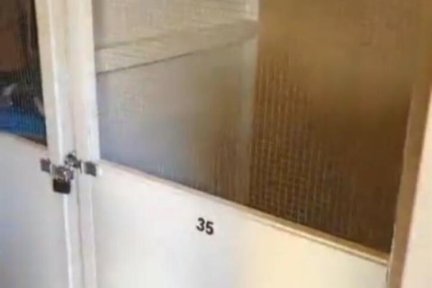 Copropriété à louer à Hollywood, Floride: 1 chambre, 77.39 m2 № 2274765 - photo 14