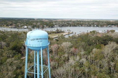 Condo in Homosassa, Florida, 3 bedrooms  № 1767615 - photo 27