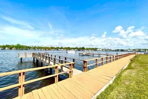 Condo in Homosassa, Florida, 3 bedrooms  № 1767615 - photo 17