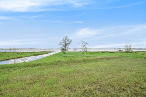 Land in Lake Alfred, Florida № 1719471 - photo 5