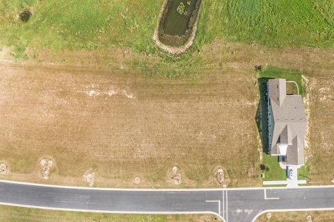 Land in Lake Alfred, Florida № 1719471 - photo 13