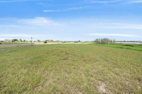 Land in Lake Alfred, Florida № 1719471 - photo 7