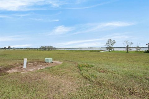 Land in Lake Alfred, Florida № 1719471 - photo 10