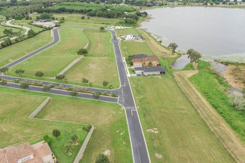 Land in Lake Alfred, Florida № 1719471 - photo 17