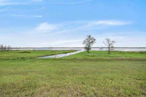 Land in Lake Alfred, Florida № 1719471 - photo 4