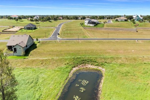 Land in Lake Alfred, Florida № 1719471 - photo 14