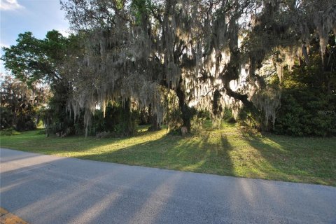 Terreno en venta en Leesburg, Florida № 1062699 - foto 7