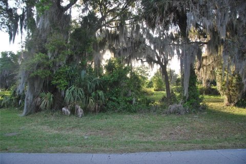 Terreno en venta en Leesburg, Florida № 1062699 - foto 5