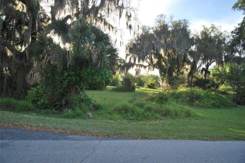 Terreno en venta en Leesburg, Florida № 1062699 - foto 3
