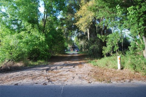 Terreno en venta en Leesburg, Florida № 1062699 - foto 10