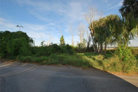 Terreno en venta en Leesburg, Florida № 1062699 - foto 11