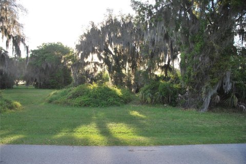 Terreno en venta en Leesburg, Florida № 1062699 - foto 4