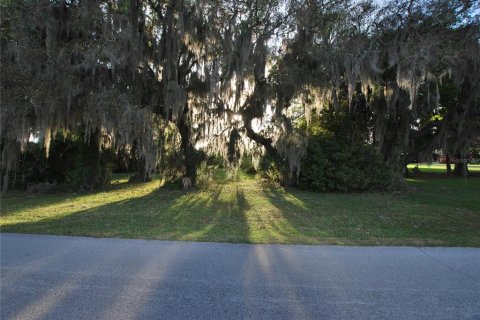 Terreno en venta en Leesburg, Florida № 1062699 - foto 6