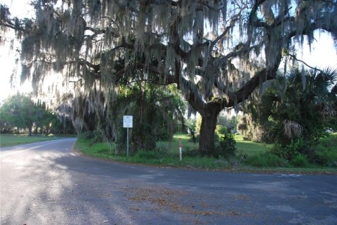 Terreno en venta en Leesburg, Florida № 1062699 - foto 2