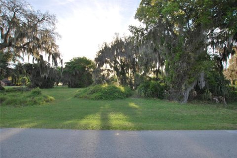 Terreno en venta en Leesburg, Florida № 1062699 - foto 8