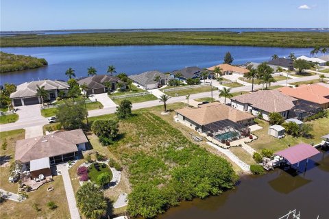 Land in Port Charlotte, Florida № 2092717 - photo 6