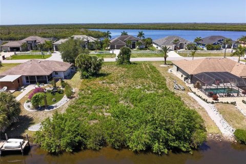 Land in Port Charlotte, Florida № 2092717 - photo 10