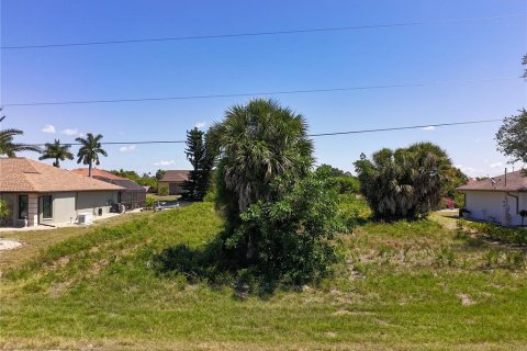 Land in Port Charlotte, Florida № 2092717 - photo 2