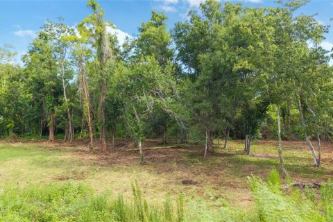 Terreno en venta en Tampa, Florida № 1915142 - foto 6