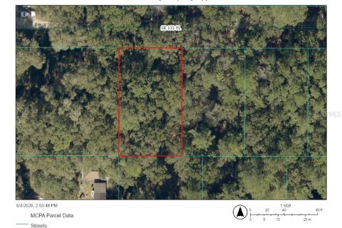 Land in Belleview, Florida № 2211865 - photo 3