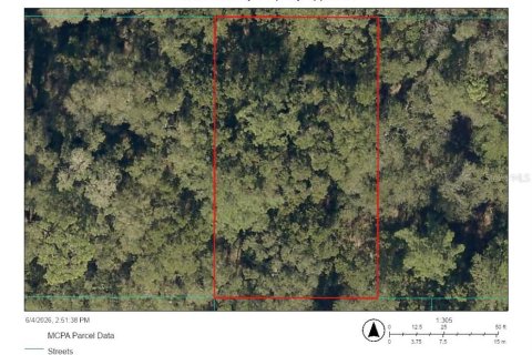 Land in Belleview, Florida № 2211865 - photo 2