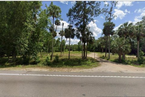 Terrain à Davenport, Floride № 2130889