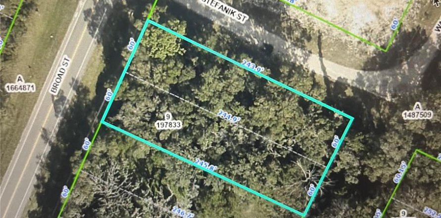 Terreno en Brooksville, Florida № 1508228