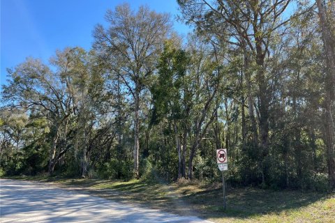 Terreno en venta en Brooksville, Florida № 1508228 - foto 4