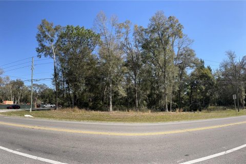 Terreno en venta en Brooksville, Florida № 1508228 - foto 2