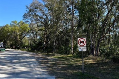 Terreno en venta en Brooksville, Florida № 1508228 - foto 8