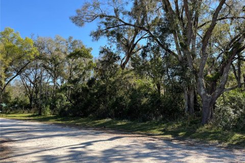 Terreno en venta en Brooksville, Florida № 1508228 - foto 6