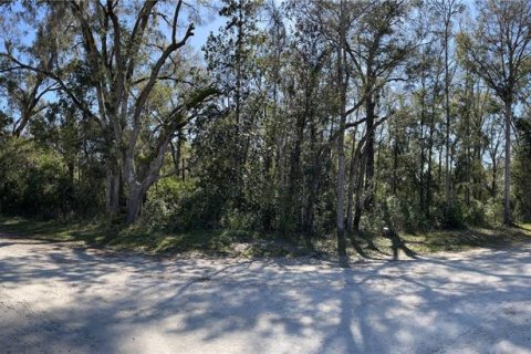 Terreno en venta en Brooksville, Florida № 1508228 - foto 7