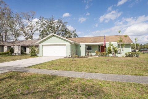 House in Lutz, Florida 3 bedrooms, 154.4 sq.m. № 2167462