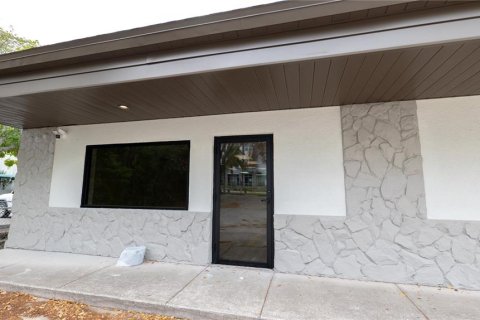 Immobilier commercial à louer à Dunedin, Floride: 482.35 m2 № 2128093 - photo 9