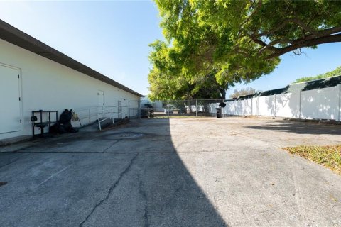 Immobilier commercial à louer à Dunedin, Floride: 482.35 m2 № 2128093 - photo 4