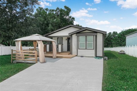 Villa ou maison à Wauchula, Floride 3 chambres, 121.89 m2 № 2403252