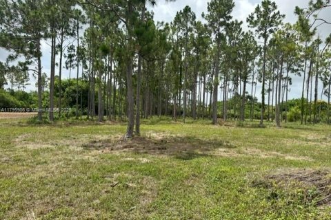 Land in Homestead, Florida № 1727124 - photo 2