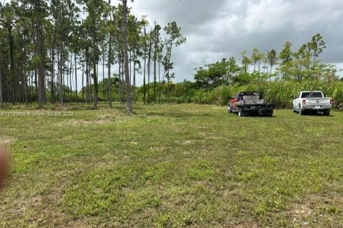 Land in Homestead, Florida № 1727124 - photo 3