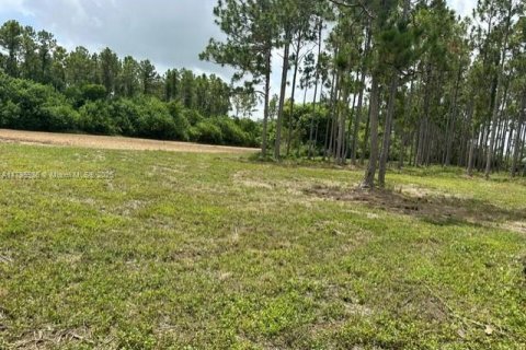 Land in Homestead, Florida № 1727124 - photo 4
