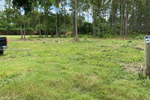 Land in Homestead, Florida № 1727124 - photo 1