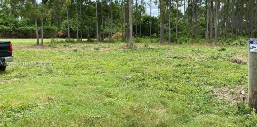 Land in Homestead, Florida № 1727124