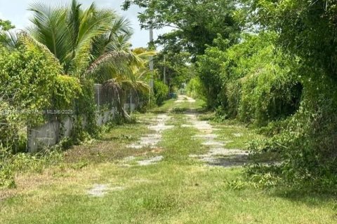 Land in Homestead, Florida № 1727124 - photo 5