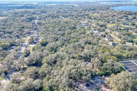 Terreno en venta en Mount Dora, Florida № 1531421 - foto 6